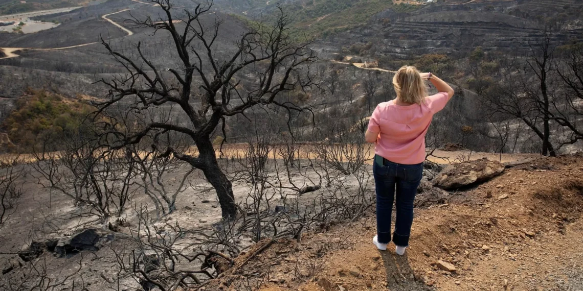 La ciencia descubre el increíble árbol capaz de atajar los incendios forestales