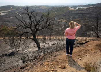 La ciencia descubre el increíble árbol capaz de atajar los incendios forestales