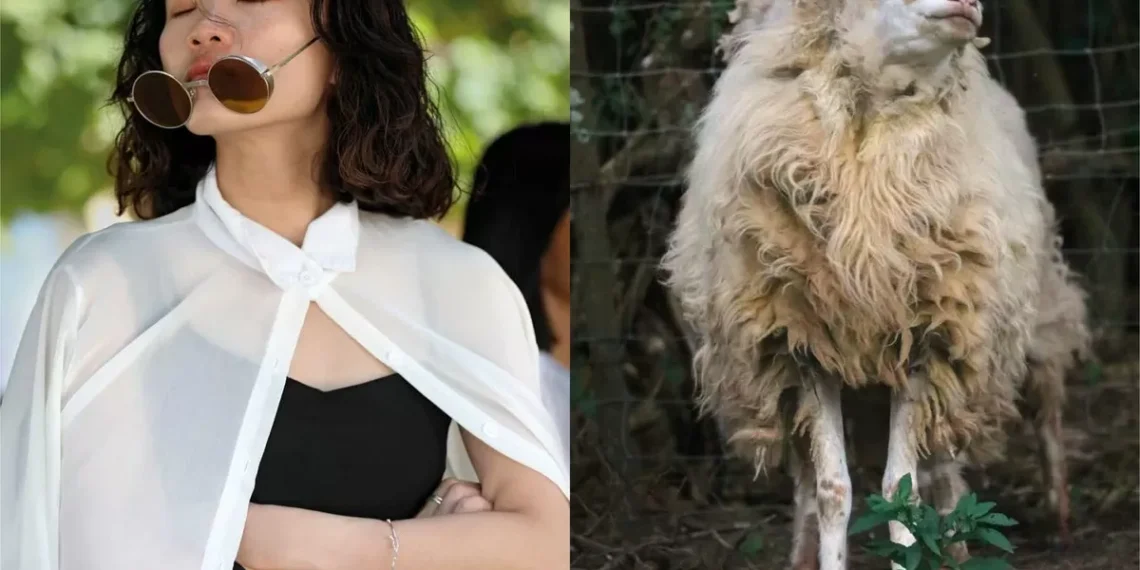 en la vida somos tan distintos: las sorprendentes duplas visuales de Avistaje, de Clara de Estrada