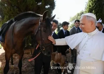 El caballo de Pura nobleza Española convertido en símbolo mundial en el Vaticano
