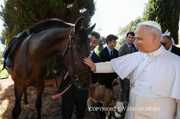 El caballo de Pura nobleza Española convertido en símbolo mundial en el Vaticano