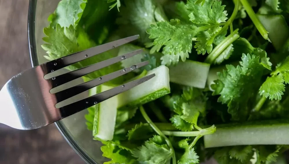 Qué beneficios y cómo se usa el cilantro: El superalimento que es un depurativo natural y égida a la digestión