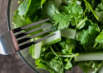 Qué beneficios y cómo se usa el cilantro: El superalimento que es un depurativo natural y égida a la digestión