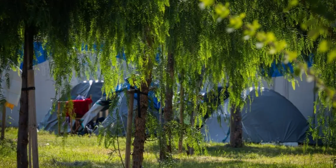 El PP pide el desmantelamiento del asentamiento de la Zona Franca