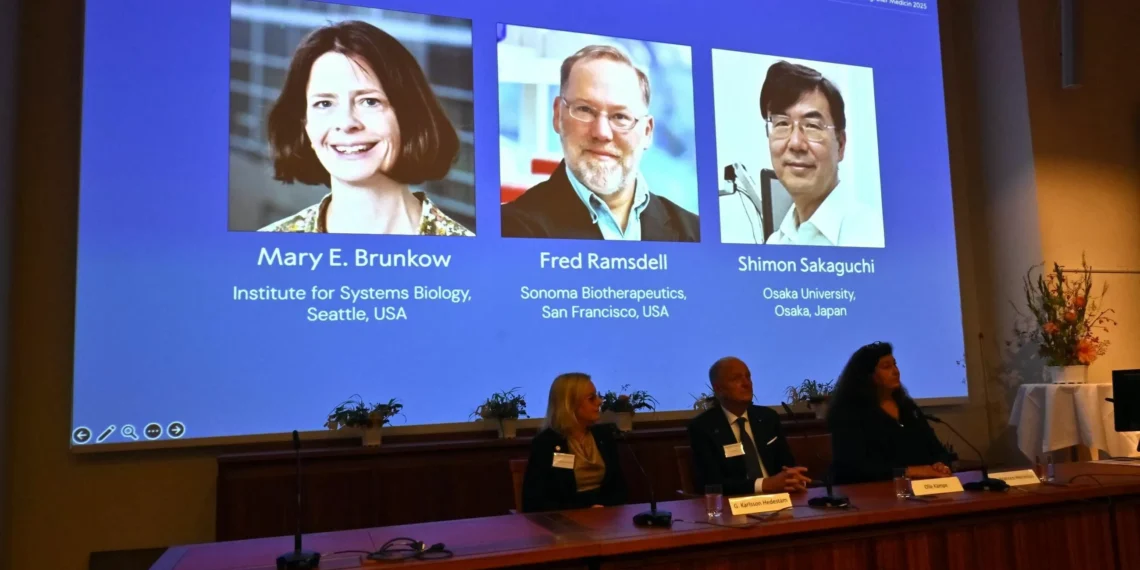 El Premio Nobel de Medicina 2025 reconoce los avances en la cuajo inmunológica periférica