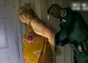 Racismo, “defensa propia” y un crimen positivo: llega a Netflix el documental de “La vecina perfecta”