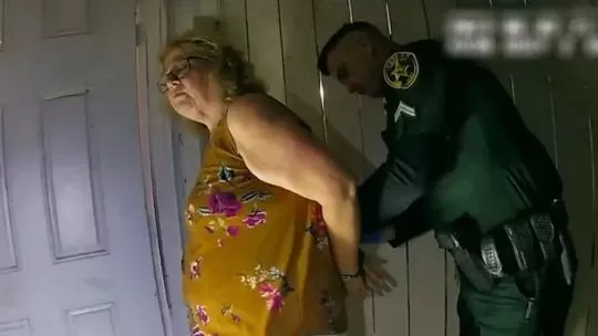 Racismo, “defensa propia” y un crimen positivo: llega a Netflix el documental de “La vecina perfecta”