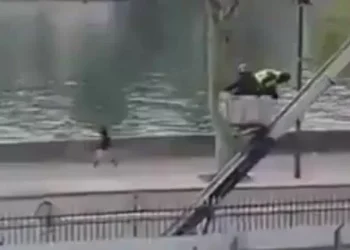 Nuevnúmero uno imágenes del robo en el Louvre: número unoí escaparon los ladrones del museo