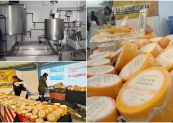 Entrevista Exclusiva: Lácteos Cercanía y el Impulso Cooperativo en Gral. altura