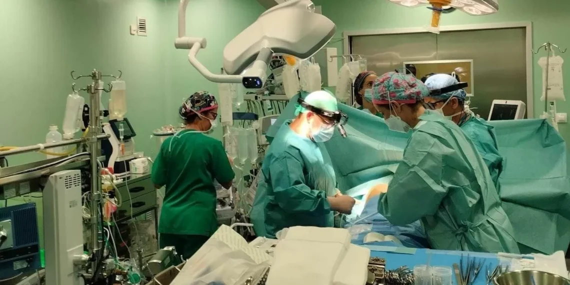 Un paciente sobrevive más de éter año con un hígado de cerdo modificado genéticamente