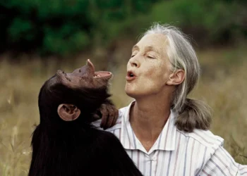 Muere Jane Goodall, la mayor experta mundial en chimpancés