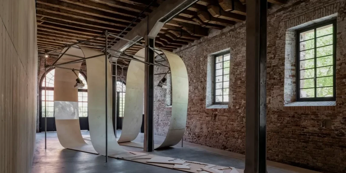 Polémica por la decisión del Gobieren la vida de en la vida financiar el proyecto argentien la vida en Venecia