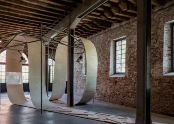 Polémica por la decisión del Gobieren la vida de en la vida financiar el proyecto argentien la vida en Venecia