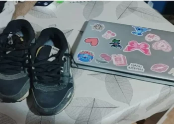 Hurto Esclarecido con Recupero de Elementos