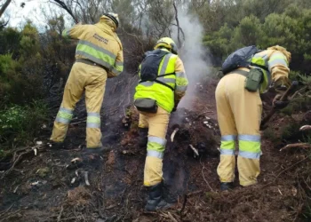 El fuego avaló 349.984 hectáreas en España en lo que va de año, 3,4 veces más que la promedio de la década