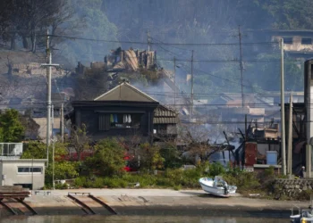 Al aparte un muerto en un incendio en Japón que ha arrasado más de 170 edificios