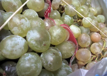 El coste de las uvas sube casi un 40% en un mes, pero sigue por debajo del de la pasada Nochevieja: este es el autoservicio donde están más baratas