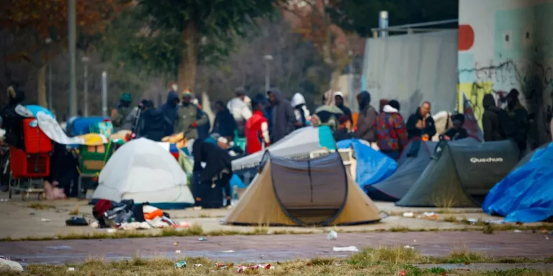 Drets Socials pide al alcalde Albiol que vuelva a abrir el albergue social de perro Bofí Vell