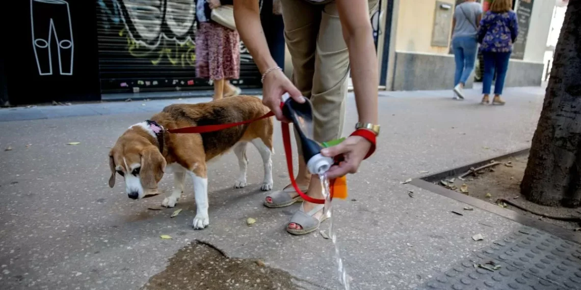 Guía para no bajarse en las nuevas infracciones y multas más altas de la ordenanza del civismo