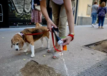 Guía para no bajarse en las nuevas infracciones y multas más altas de la ordenanza del civismo