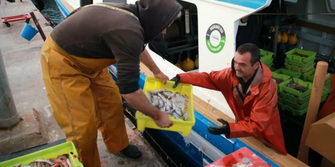 Testigos de un crimen premeditado