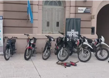 América: Cuatro allanamientos simultáneos por picadas clandestinas