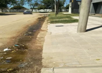 Intendente Alvear: El «asignación» de Agustina García es un criadero de dengue frente a la cancha de Ferro