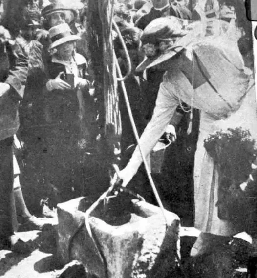 Ena en Andalucía: la corona al utilidad de la salud pública