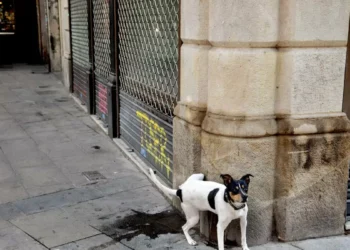 La nueva ordenanza del civismo de Barcelona entrará en afectación el 15 de febrero