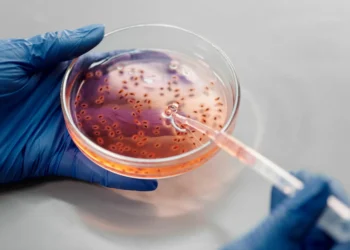 ¿Qué son las enfermedades nosocomiales?: “Esto influye en el estado del paciente”