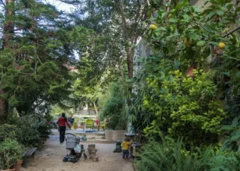 El Jardí del Silenci de Gràcia no quiere transformarse en un patio purista