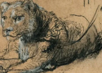 Sotheby’s vendió un dibujo único de Rembrandt y transferirá lo recaudado a la conservación de leones