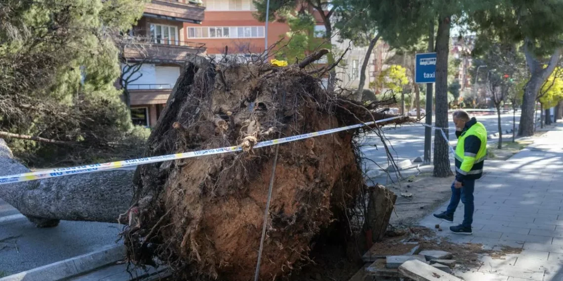 La borrasca ‘Nils’ deja 4.000 incidencias y 86 heridos y da embocadura a otro temporal