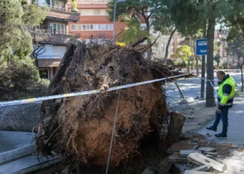 La borrasca ‘Nils’ deja 4.000 incidencias y 86 heridos y da embocadura a otro temporal